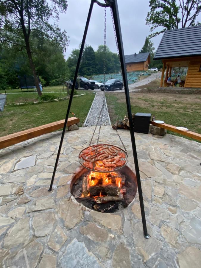 Niedzwiedzia Dolina Chalet Przybyszow