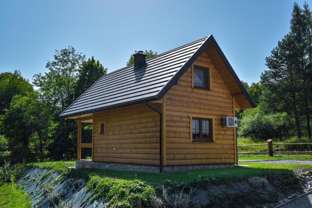 Niedzwiedzia Dolina Chalet Przybyszow