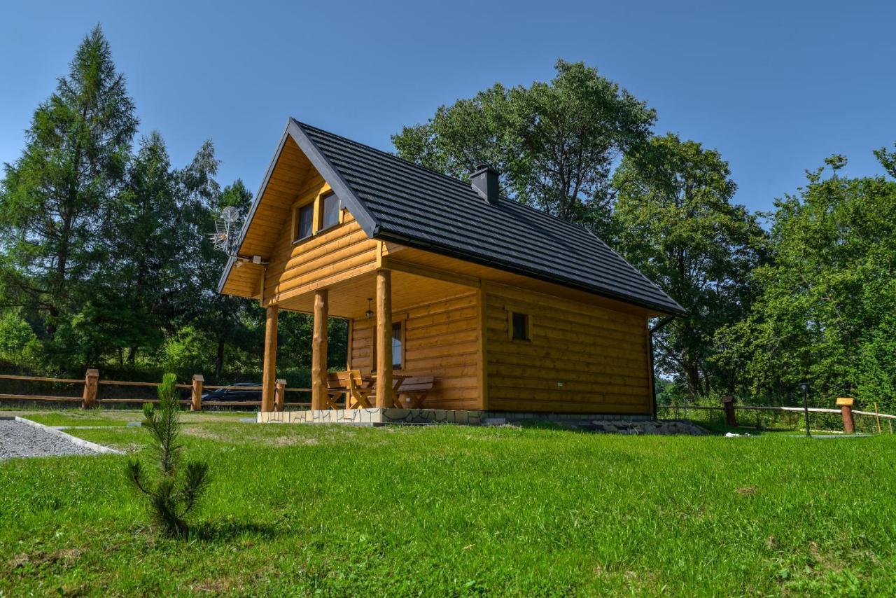 Niedzwiedzia Dolina *