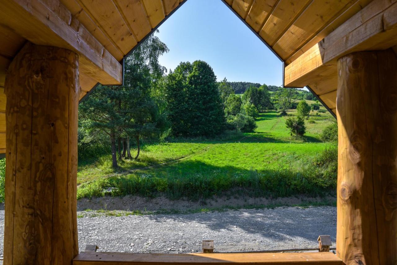 Niedzwiedzia Dolina Przybyszow
