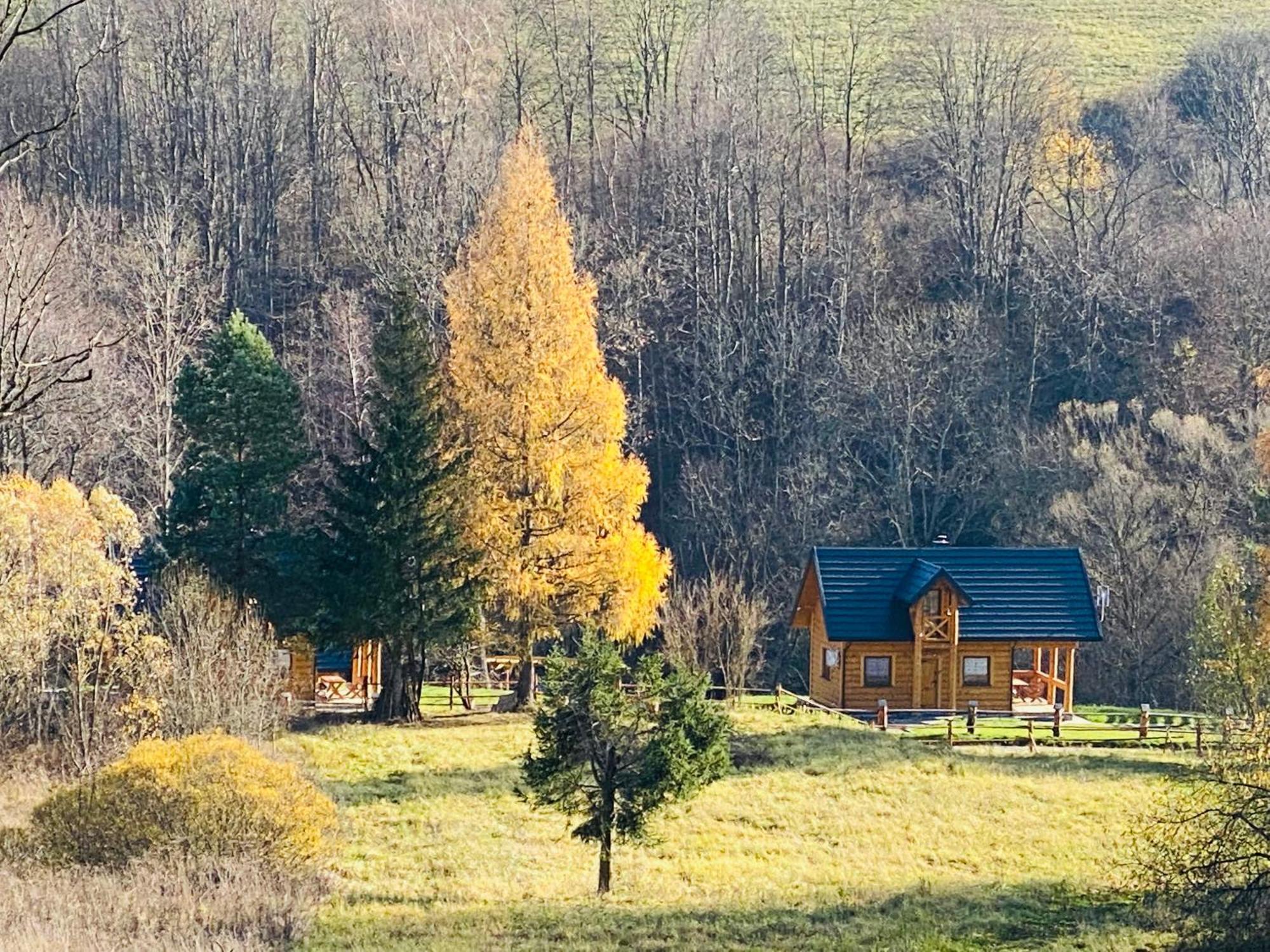 Niedzwiedzia Dolina