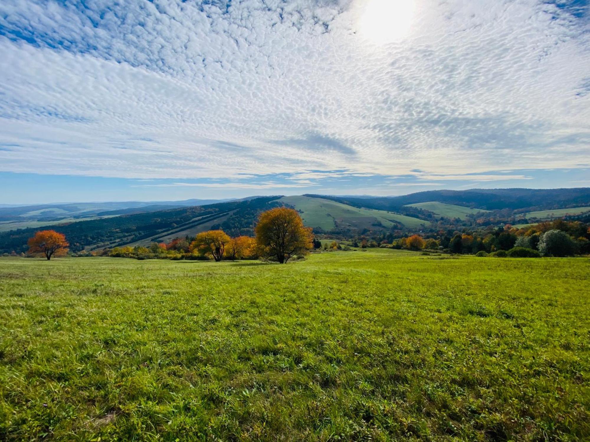 Niedzwiedzia Dolina Chalet Przybyszow