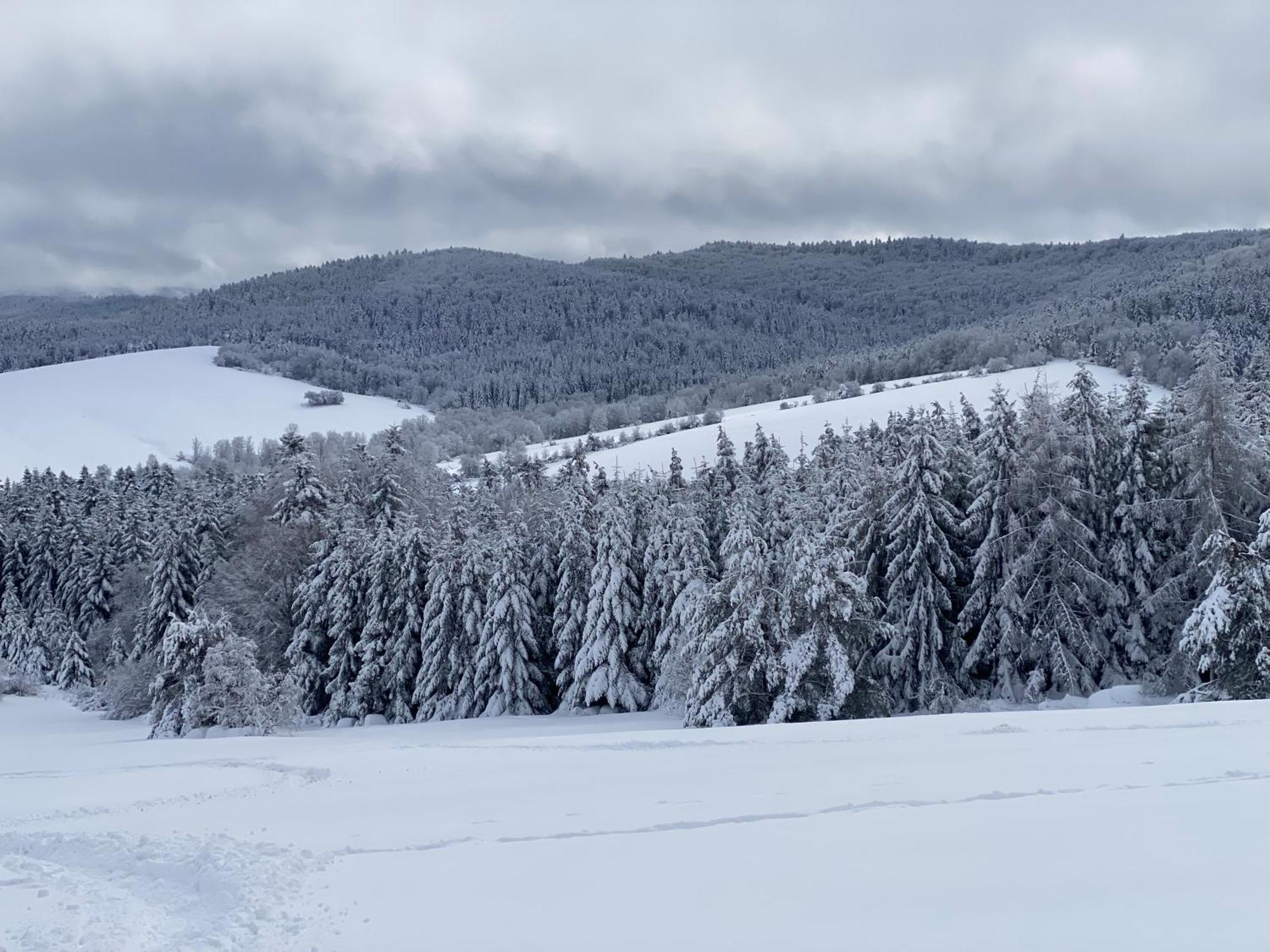 Chalet Niedzwiedzia Dolina *